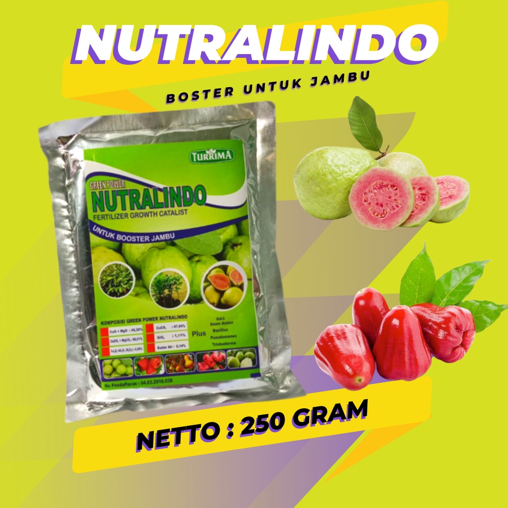 Pupuk Buah Jambu, Pupuk Buah Jambu Kristal, Pupuk Buah Jambu Air Biar Cepat Berbuah, Booster Jambu A