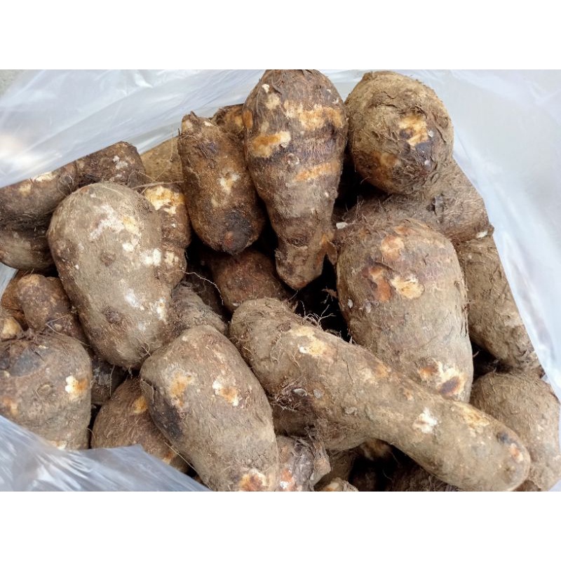 

REMPAH KETELA ENTEK MURAH BANGET