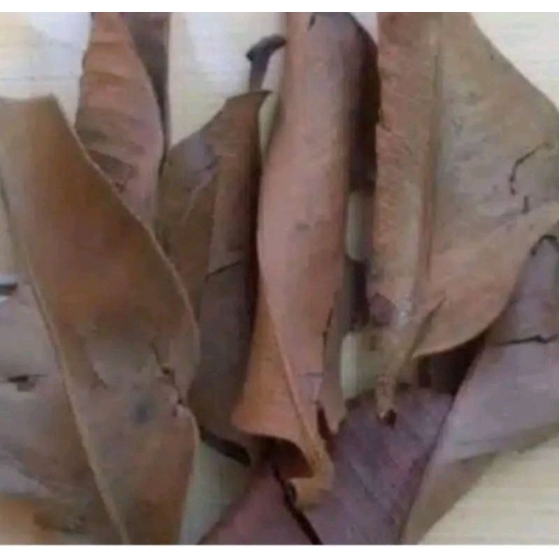 

daun manggis kering asli 100gram