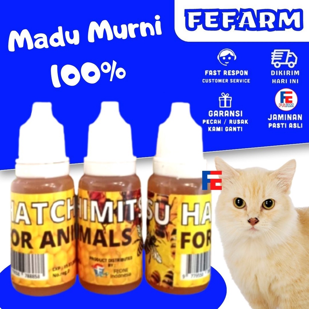 Madu Hamster Kucing Anjing Sugar Glider Kelinci Vitamin Penunjang Daya Tahan Tubuh  FEFARM