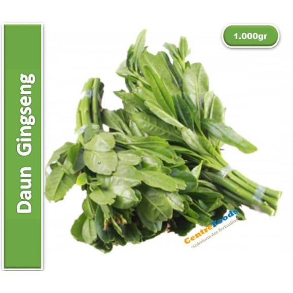

Daun Gingseng - Daun Gingseng Jawa Fresh | 1.000gr [ Harga Per KG ]