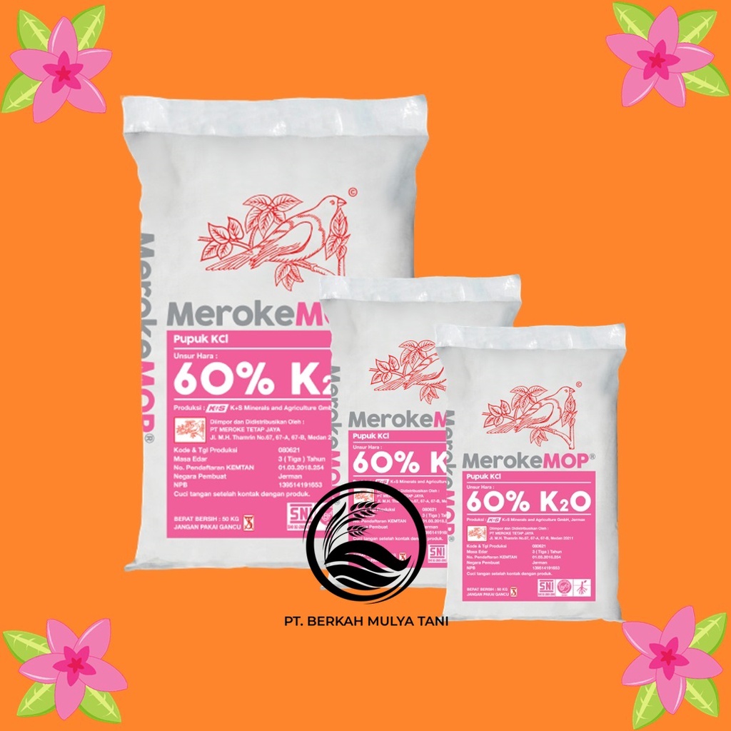 Jual Pupuk Kcl Meroke Mop Kemasan Kg Gram Repack Shopee Indonesia