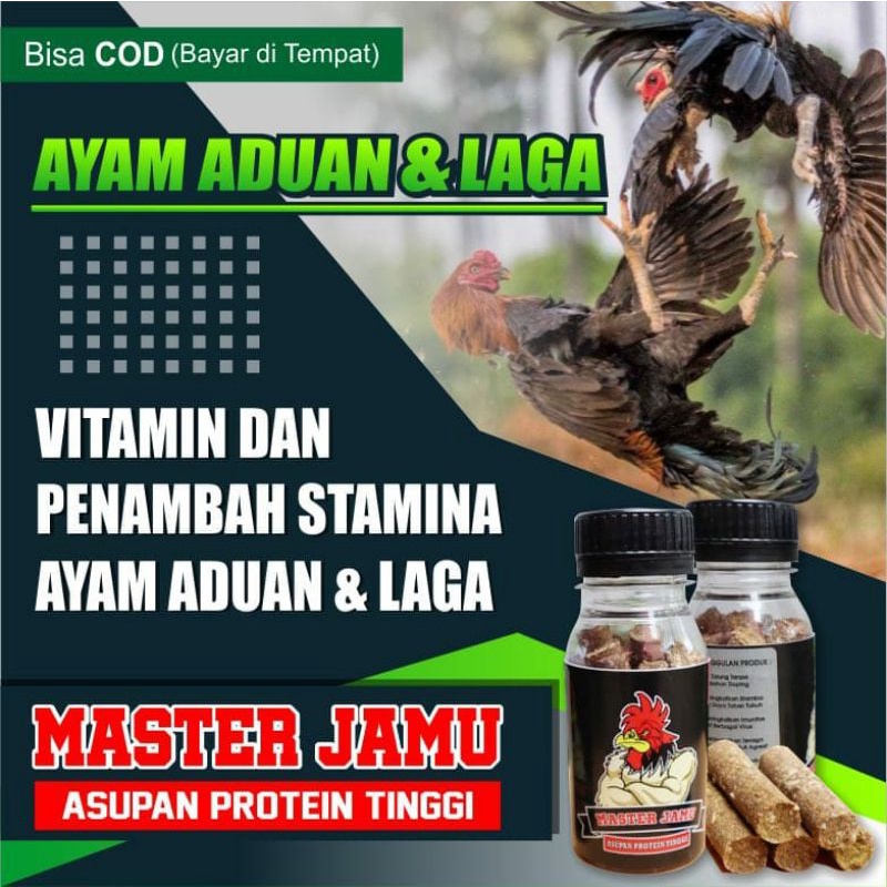 MASTER JAMU DOPING SUPER AYAM BANGKOK - JAMU AYAM LAGA SIAP TARUNG