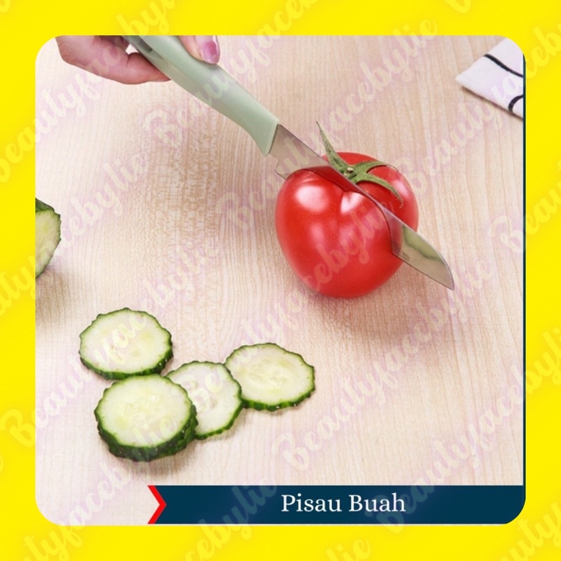 Pisau Buah Stainless Steel Mini