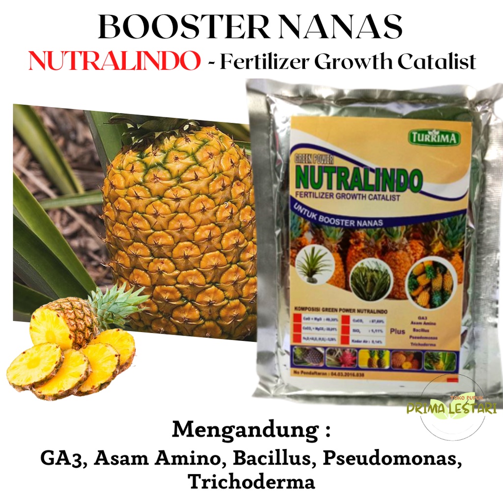 Pupuk Perangsang Buah Nanas, Pupuk Untuk Tanaman Nanas, Pupuk Nanas Cepat Berbuah