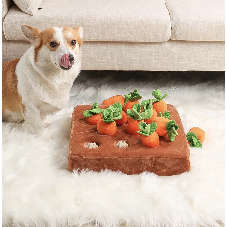 PULL CARROTS Hidden Food TOY