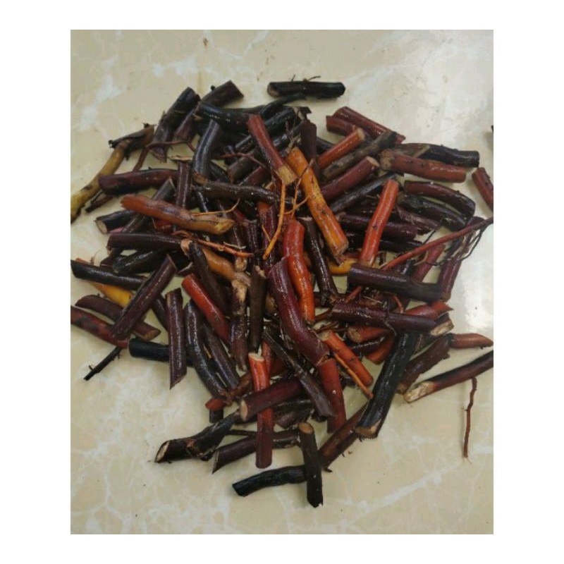 Akar Kelapa Segar 1 Kg/Akar Pohon Kelapa Segar