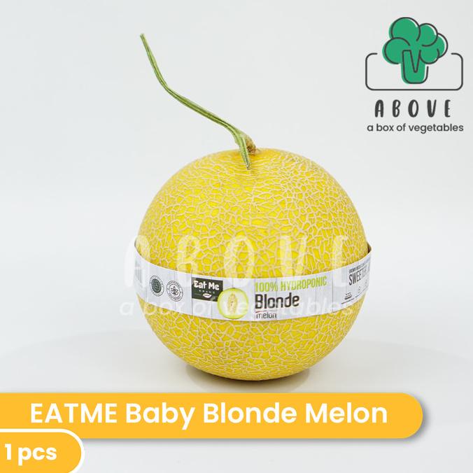 

Baby Blonde Melon Hidroponik (1 pcs) - ABOVE x EATME Brand