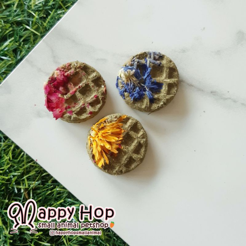 Timothy waffle with flower topping snack kelinci hamster marmut chinchilla