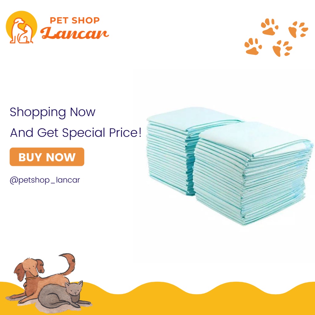 UNDERPAD 60x 60 cm 60x60 Peepad Alas Kencing Pipis Anjing Perlak Bayi