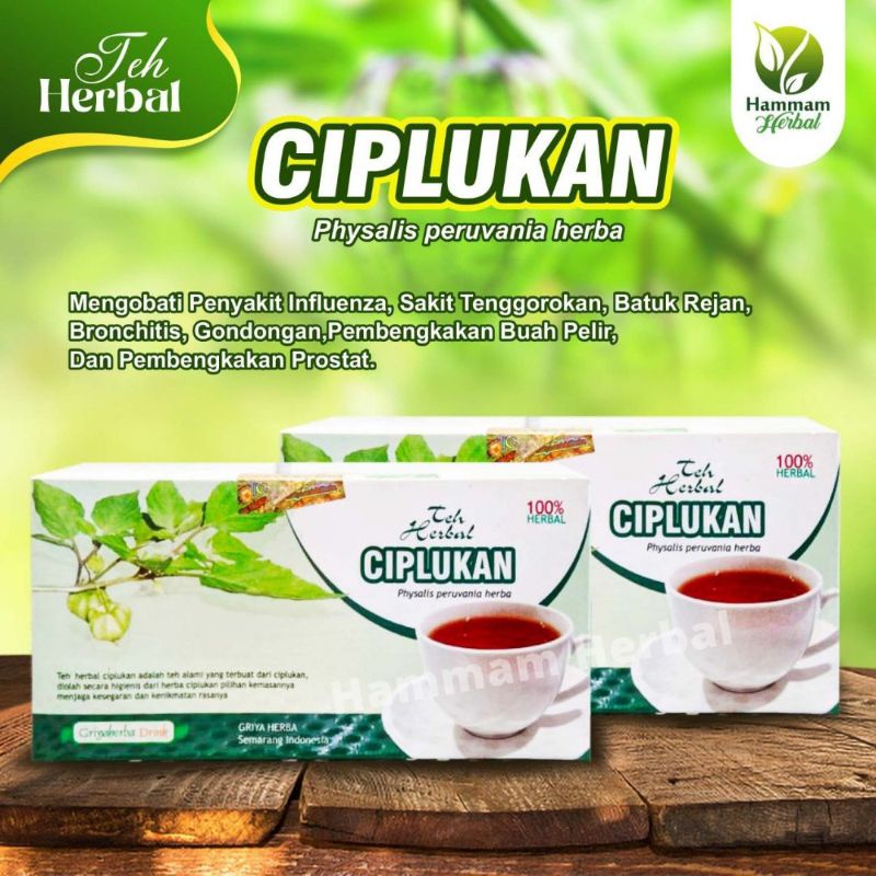 

Teh Celup Herbal Ciplukan Flu Sakit Tenggorokan Batuk Rejan Bronkhitis Gondongan