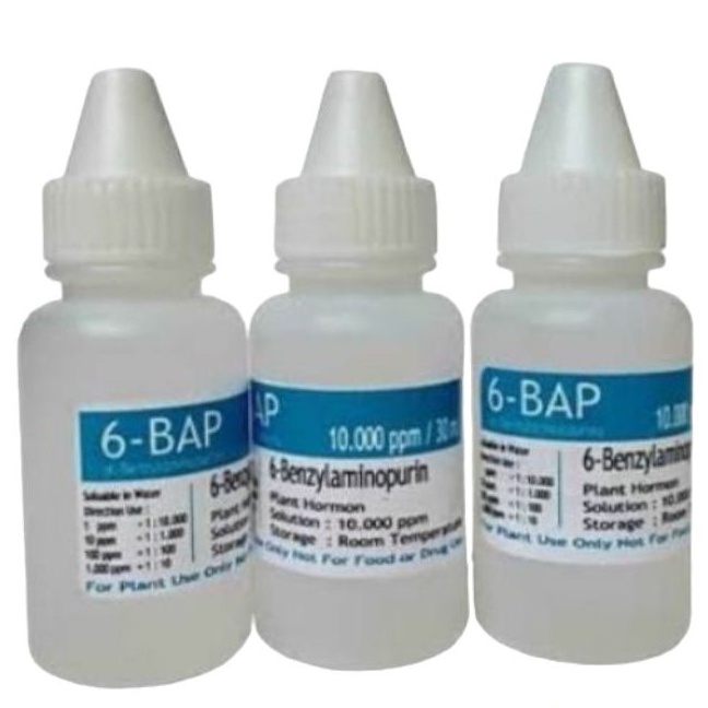 Pupuk - 6 BAP NUTRISI ANGGREK