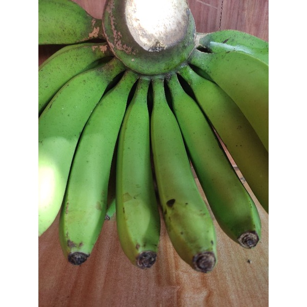 

pisang ambon jepang /cavendis