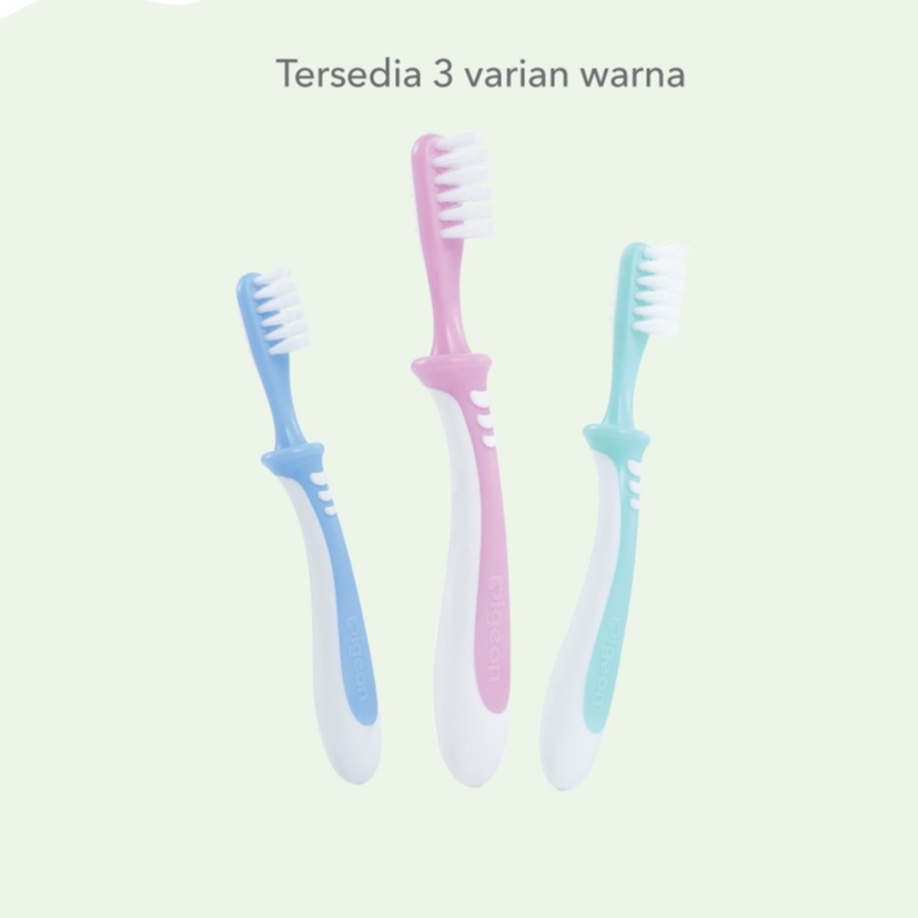 PIGEON TRAINING TOOTHBRUSH LESSON 3 PINK / BLUE / GREEN
