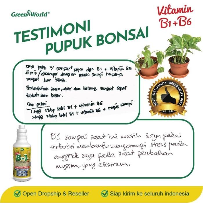 ANTI STRESS & SHOCK TANAMAN Vitamin B1 + B6 500ml