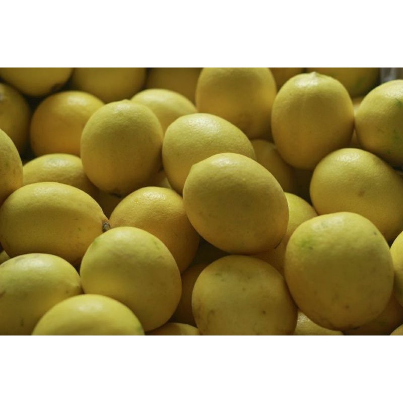 

lemon lime kwalitas super 250gr