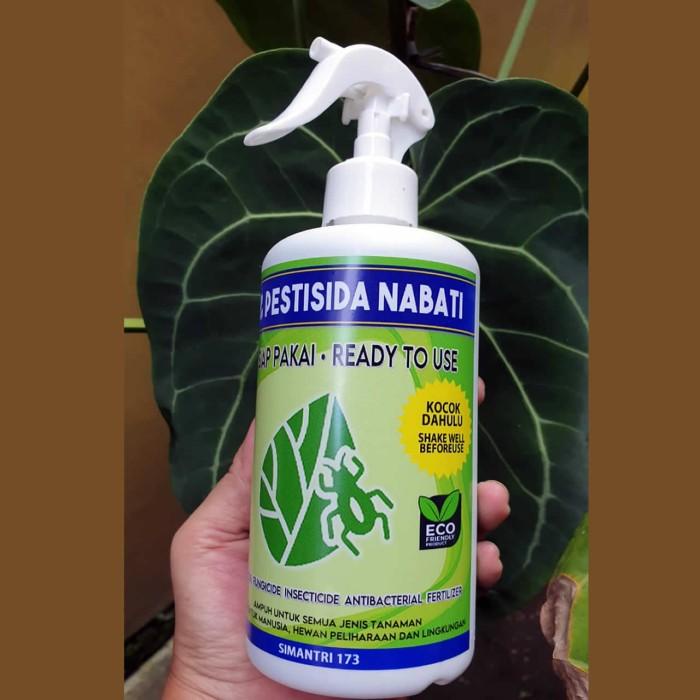 Pestisida Organik Cair Untuk Tanaman Jeruk Cabe | Obat Hama Alami