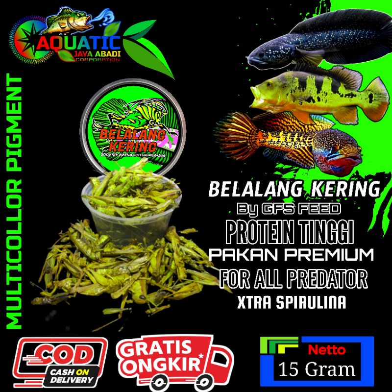 Belalang Kering Multicollor Original Booster Warna Dot Bunga