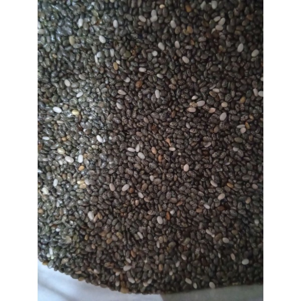 BISA COD BLACK CHIA SEED ORGANIC MEXICO SAFIYA