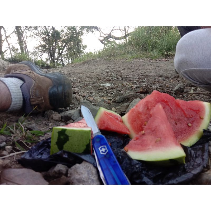 Victorinox Swiss army original