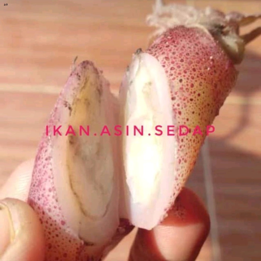 

Cumi Asin Telor Rebus ±2-4 Cm 1Kg