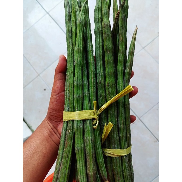 

Sayur Klentang / Buah Kelor Segar 1000 Gram
