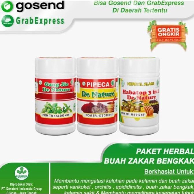 Obat Benjolan buah zakar Varikokel Epididimitis Orchitis Herbal Ampuh