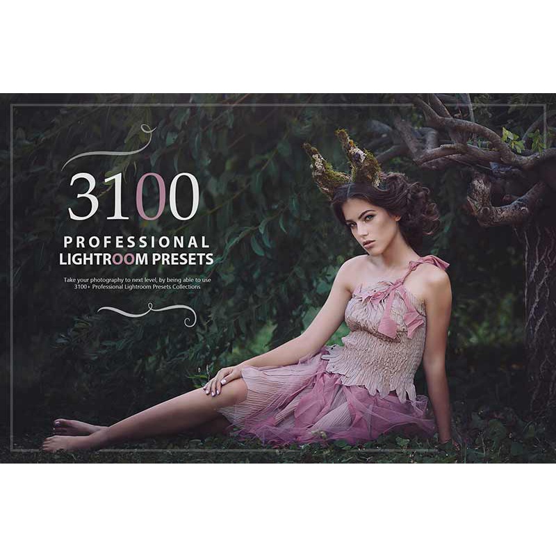 InkyDeals 3000 Professional Lightroom Presets