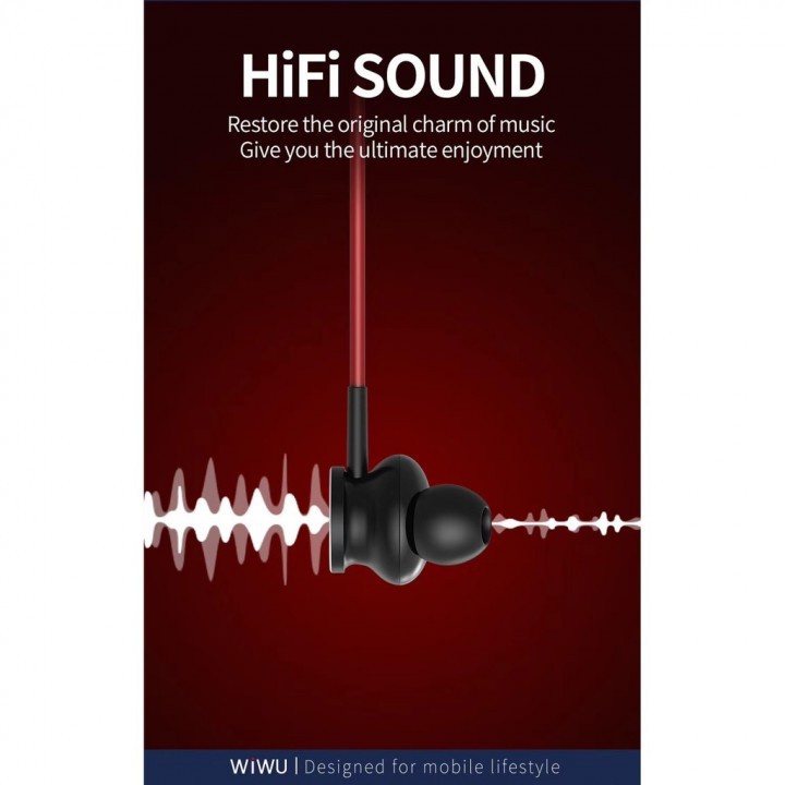 AKN88 - WIWU Earbuds 201 - Wired HiFi Stereo Earphones with Type-C Interface