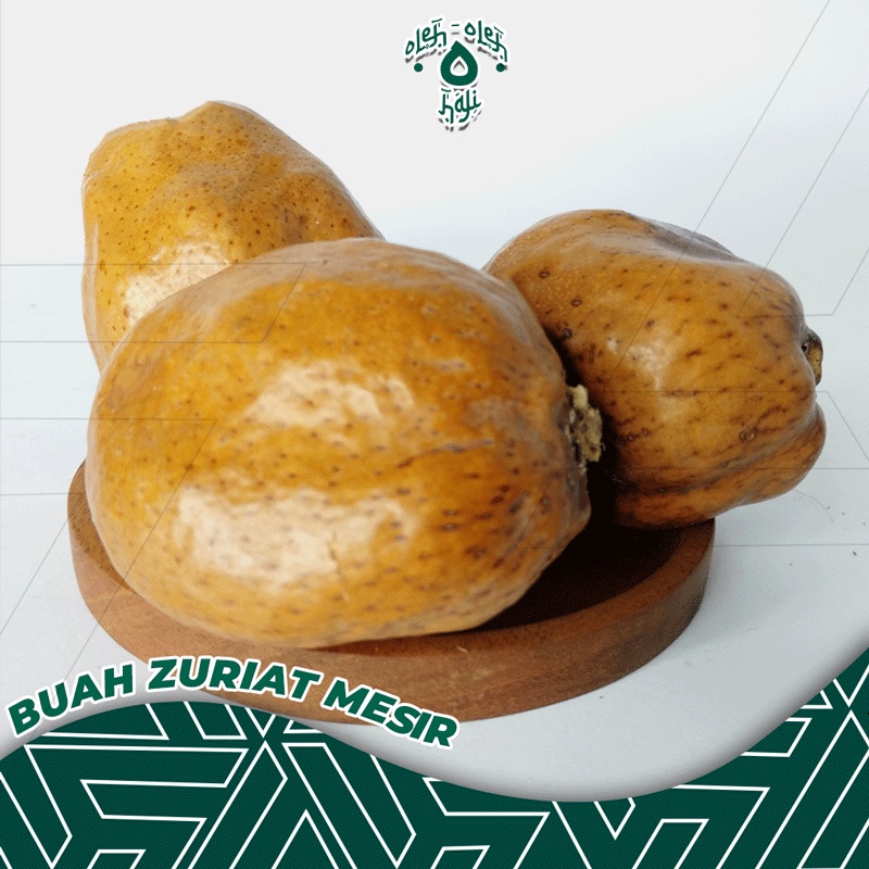 

Buah Zuriat Mesir Original Doum Promil Asli Premium Rebus