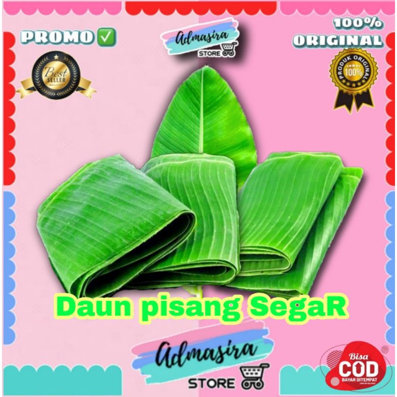 

Daun Pisang Muda SEGAR berbagai ukuran