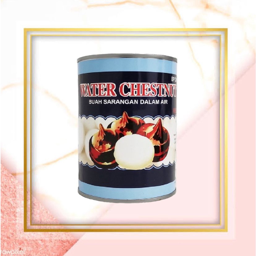 

Red Boat Water Chestnut Canned 567 gr / Buah Sarangan Dalam Kaleng