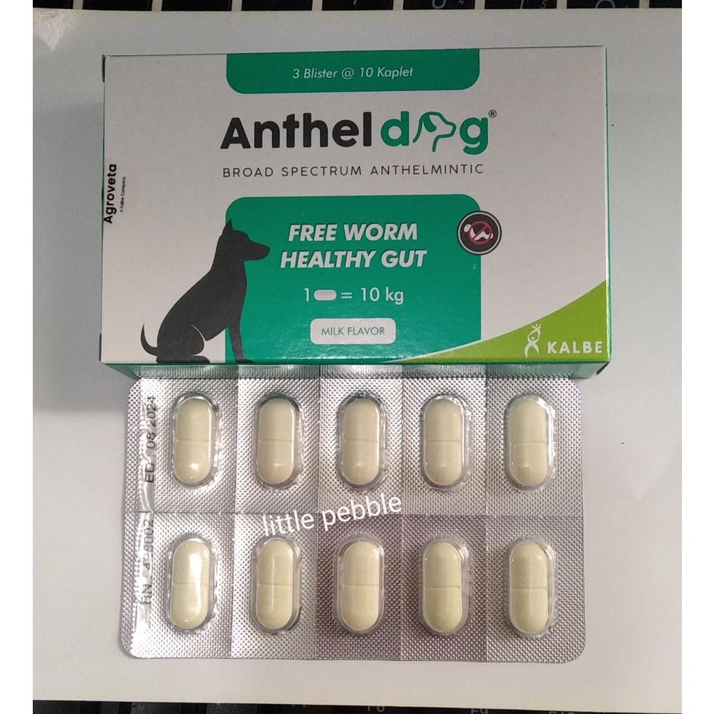 ANTHEL DOG OBAT CACING ANJING PER TABLET