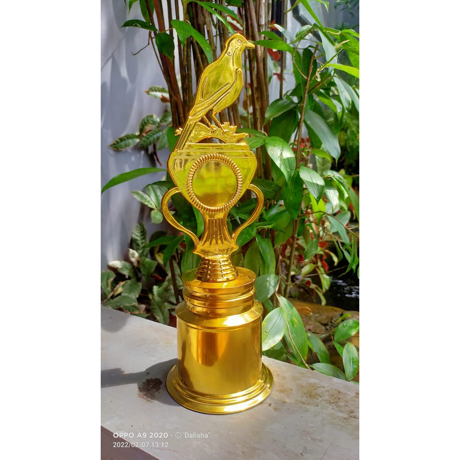 Piala burung piala lomba burung murah piala merpati piala lomba burung lovebird piala gantangan lomb