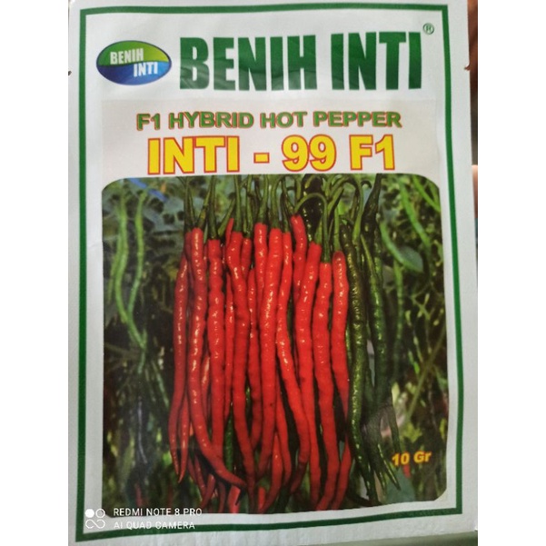 Benih Cabe Merah Keriting INTI - 99 F1 10Gr Benih Inti