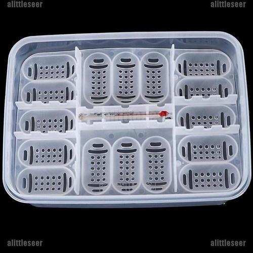 16 Reptile Egg Tray Tempat Telur BD Gecko Snake Incubator Box gratis Thermometer