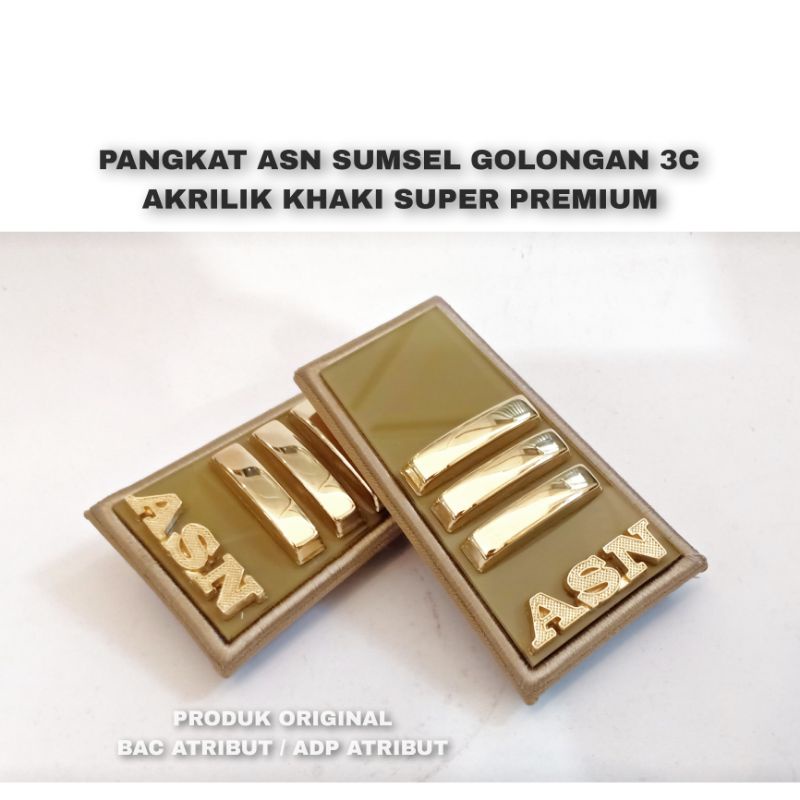 Pangkat ASN SUMSEL GOLONGAN 3c