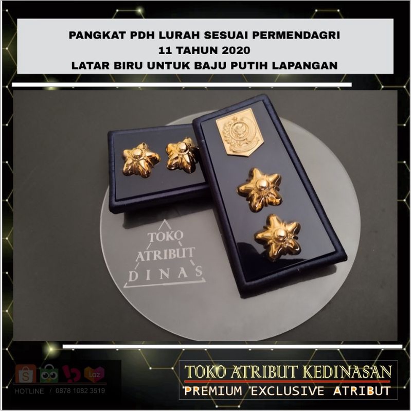 Pangkat PDH LURAH Pangkat Kades Sesuai PERMENDAGRI 11 tahun 2020