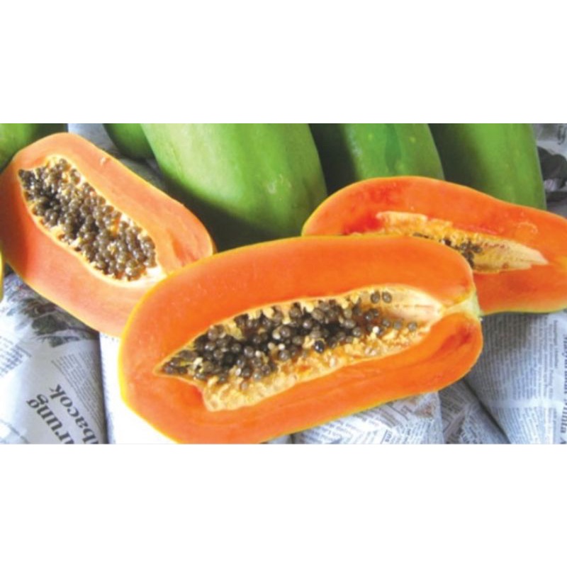 benih bibit biji pepaya california super unggul f1 30 butir/biji
