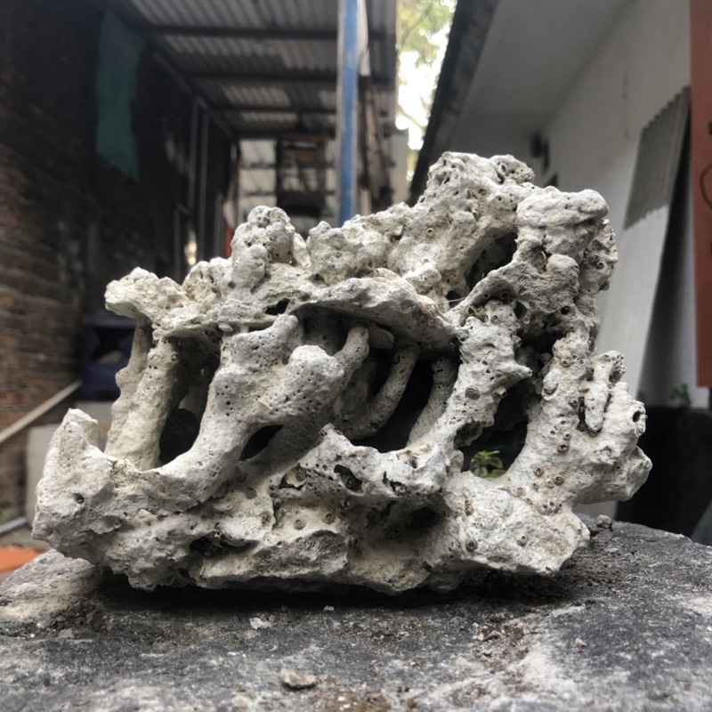 TRUMBU KARANG LAUT AQUARIUM AQUASCAPE BENTUK SPESIAL UKURAN JUMBO RUMAH IKAN HIAS ORNAMEN BATU KARAN