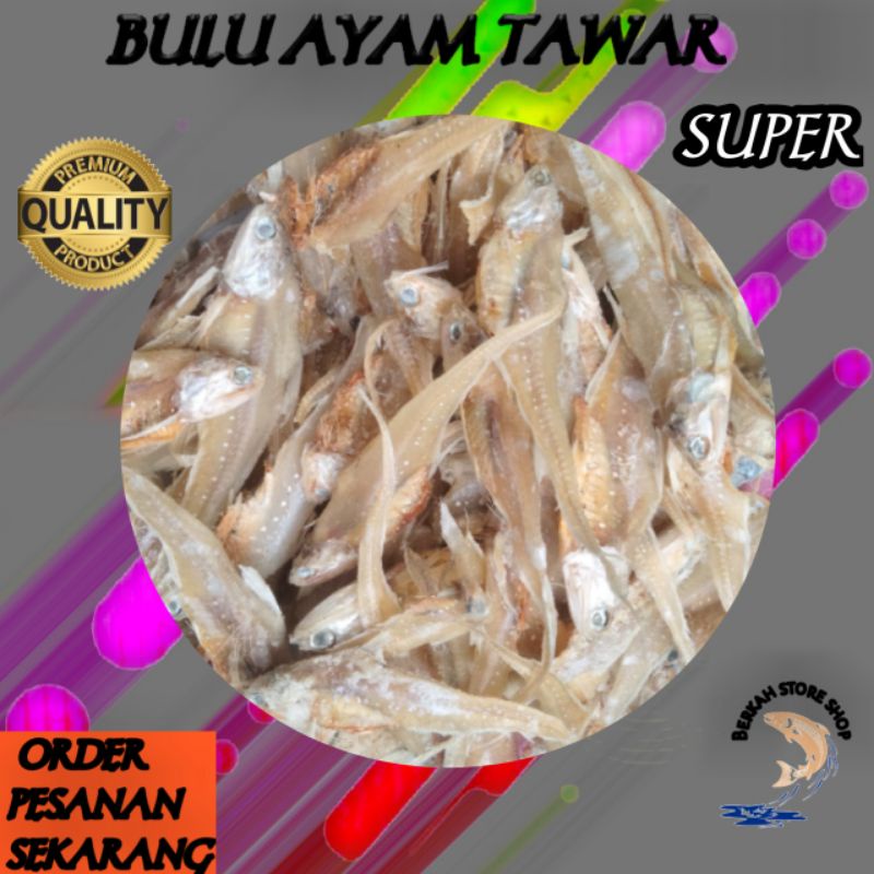 

Ikan Asin Bulu Ayam Tawar