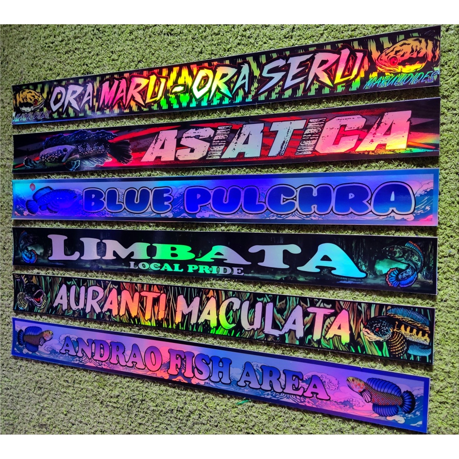 STIKER AKUARIUM HOLOGRAM IKAN CHANNA