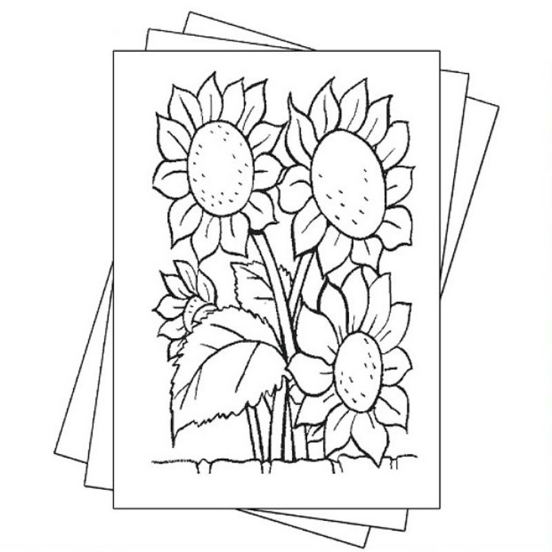 

Gambar Sketsa Mewarnai Bunga Taman Indah / Seketsa Lukis Bunga Taman / Garden Drawing