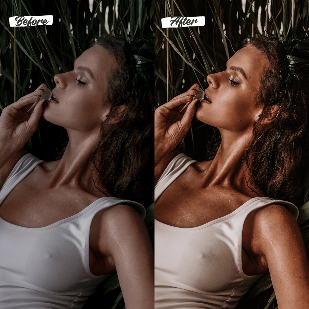 10 Lightroom Preset Premium Tropical Dekstop dan Mobile (IOS/Android)