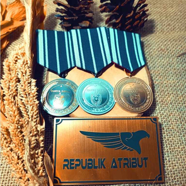MEDALI SATYA LENCANA PDU PDUK PDUB KARYA SATYA ASN 10 20 30 TAHUN