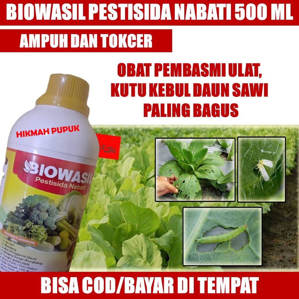 {PALING LARIS} BIOWASIL OBAT HAMA ULAT BUAH DAUN SAWI, SAWI HIJAU, SAWI PUTIH Paling Ampuh, Racun Ul