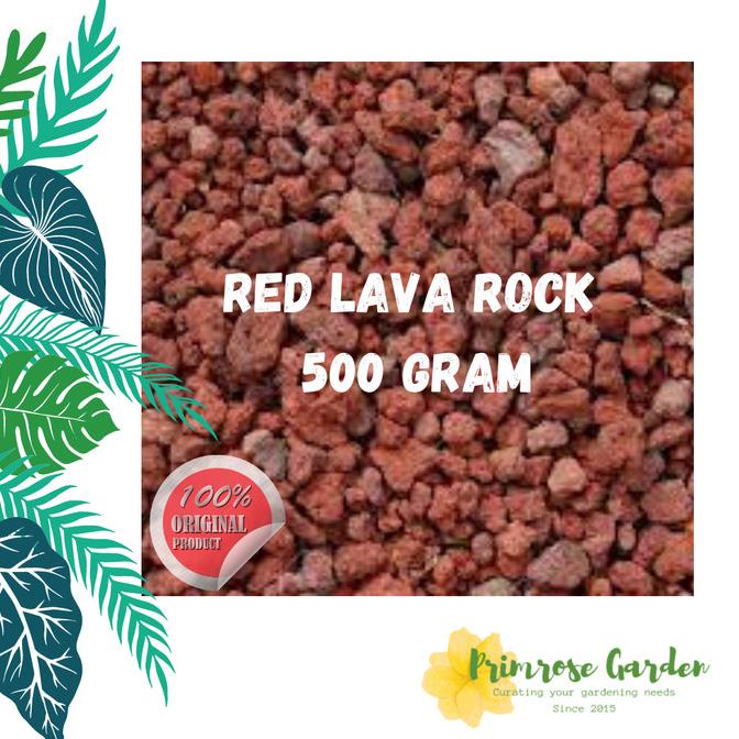 [Ready] Red Lava Rock 500 Gram Media Tanam [Fsb20]