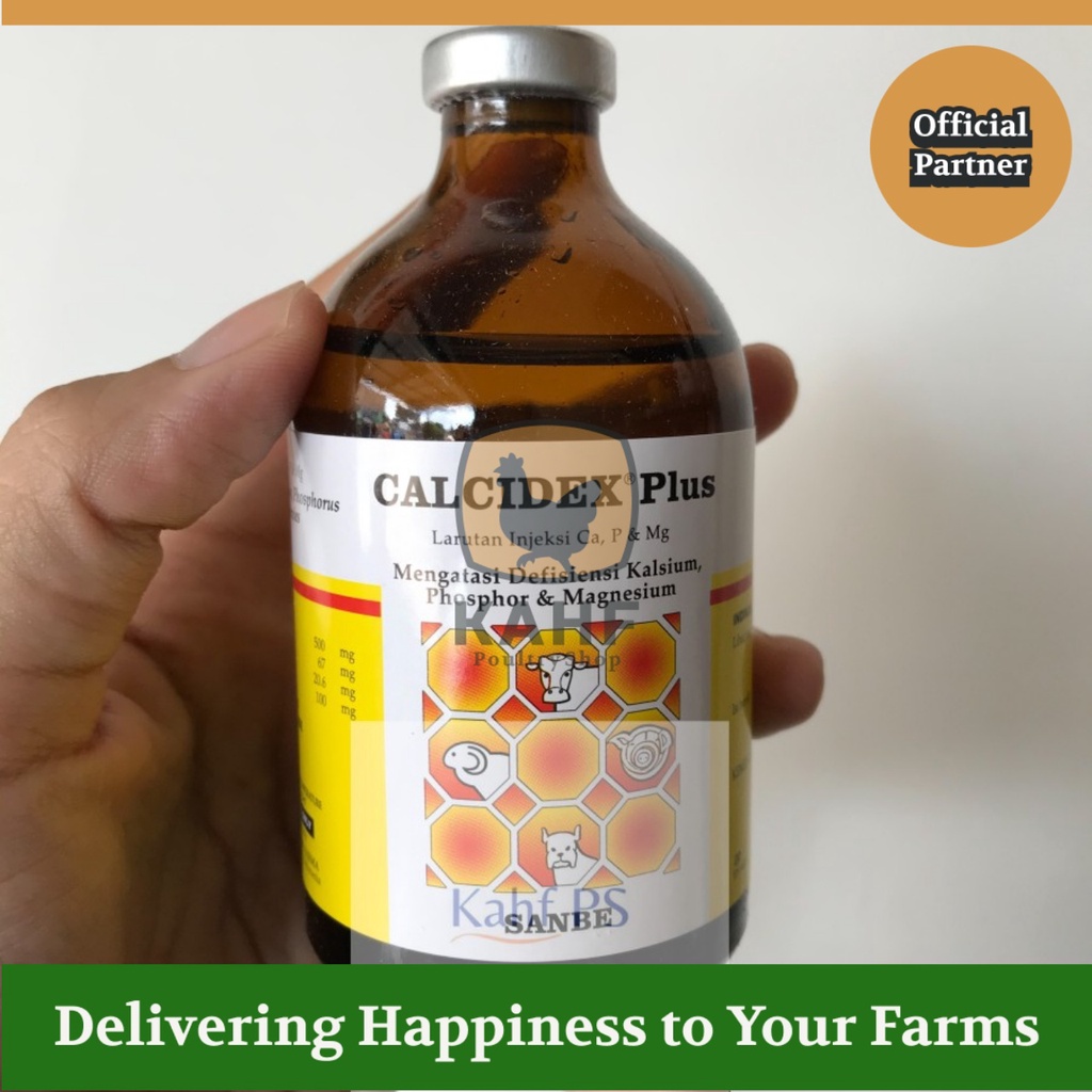 Calcidex Plus 100 ml Obat Lumpuh untuk Sapi Kambing