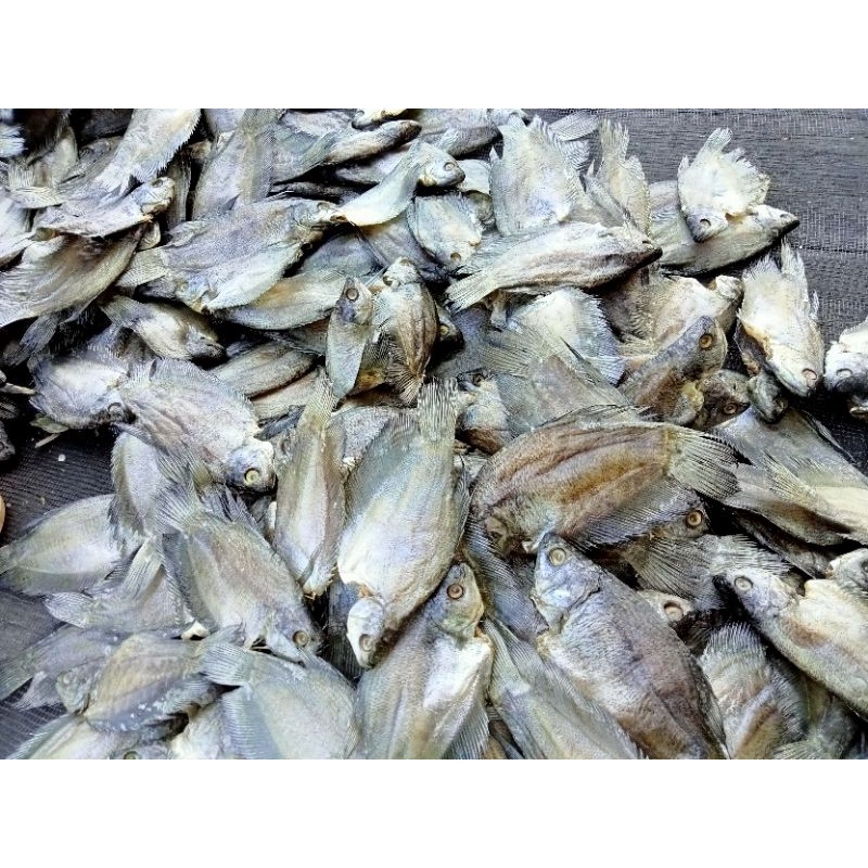 

ikan asin