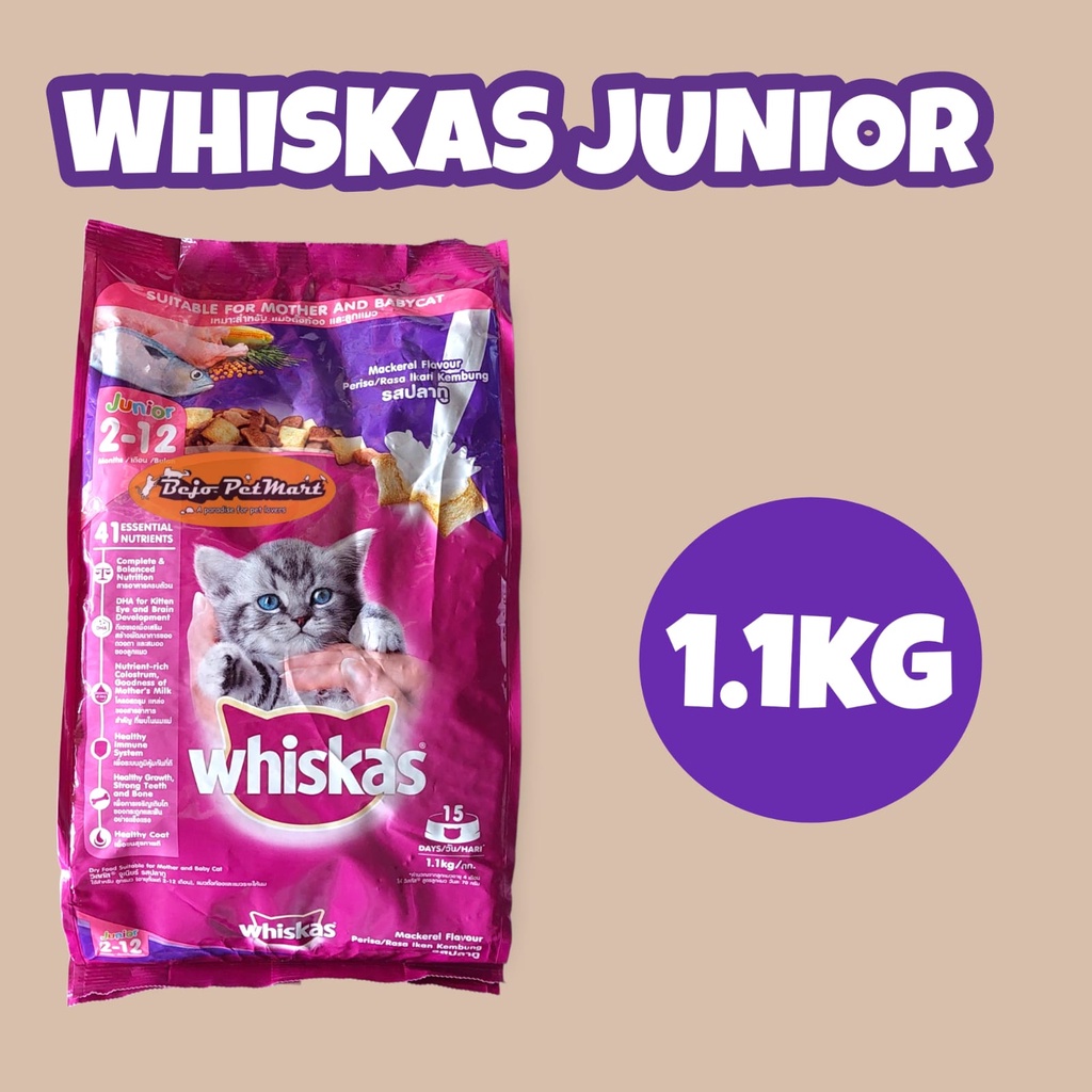 Jual WHISKAS Junior Makanan Kucing Kering, 1.1 kg Makanan Anak Kucing